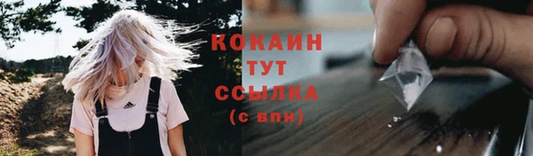 СК Нижний Тагил