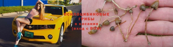 не бодяженный Лабытнанги