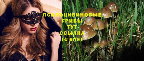 дурь Ладушкин