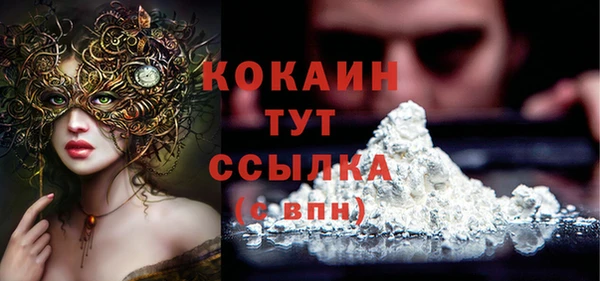 дурь Ладушкин