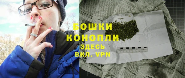 дурь Ладушкин