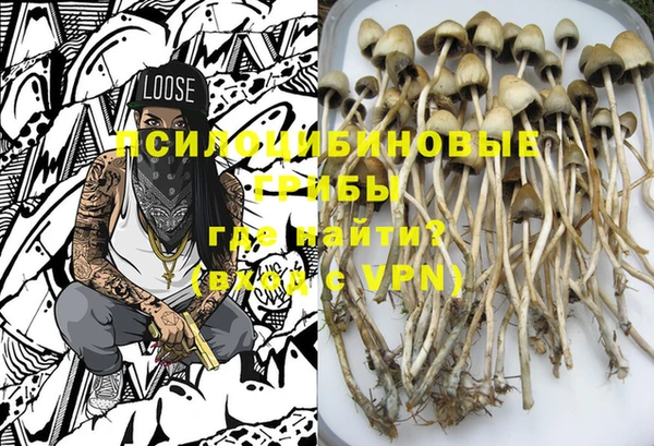 не бодяженный Лабытнанги
