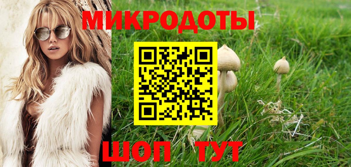 Псилоцибиновые грибы прущие грибы Воронеж