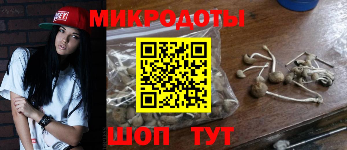 Галлюциногенные грибы мицелий  Вход с VPN  Воронеж 