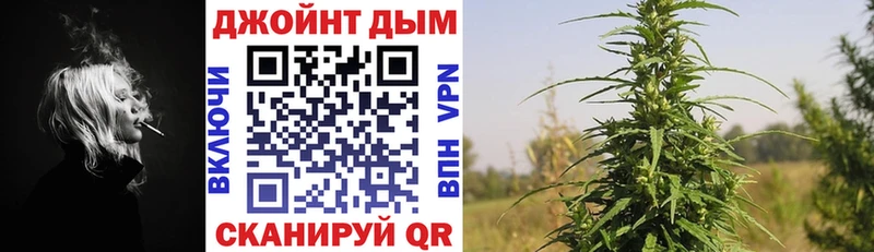 Шишки марихуана конопля  магазин    Воронеж 